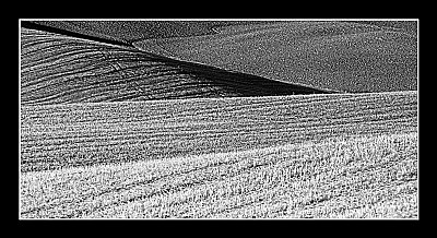 deserto toscano #37