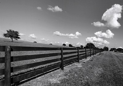 Horse Fence