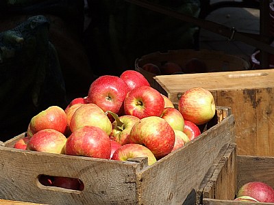 apples in Copley