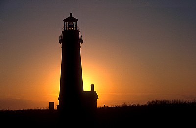 Yaquina Silhouette