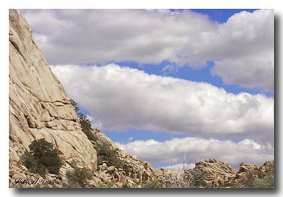 Joshua Tree National Park