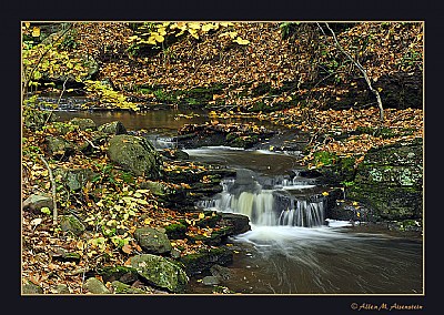 Tinicum Creek (d698)