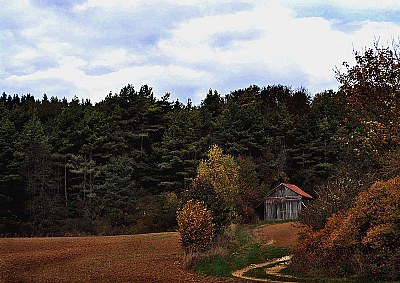 Small Barn ~ Bavarian Fall