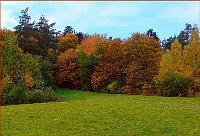 colours of autumn...