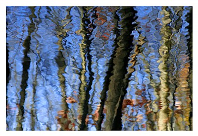 Reflections d'automne
