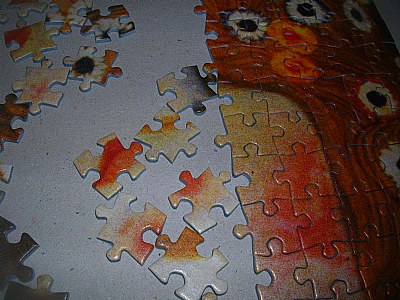 puzzle of life