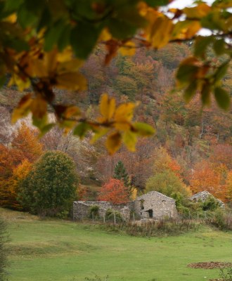 Autumn