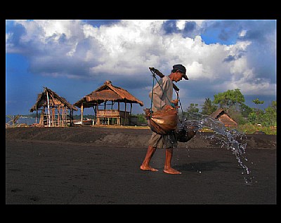 salt farmer