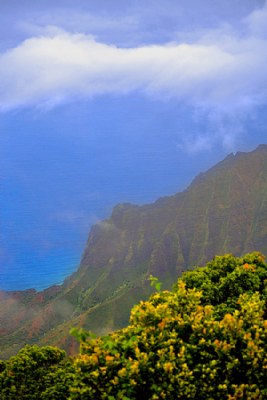 The top of Waimea Canyon