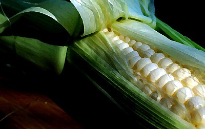 panited corn