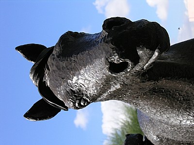 Yearling