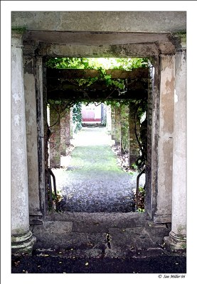 Entering The Rose Garden