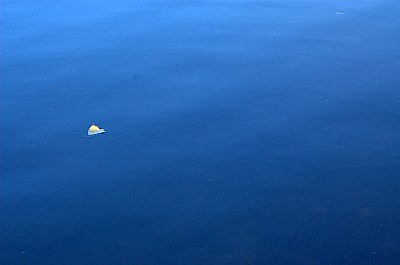 Tranquility
