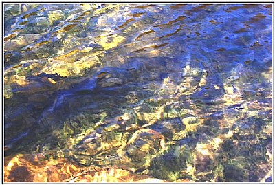 Reflections