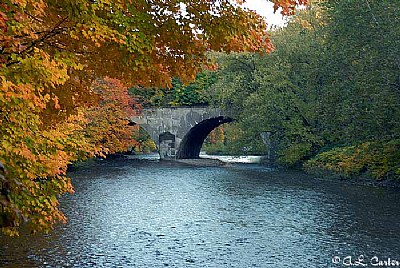 autumn bridge