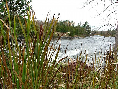 Bonnechere River