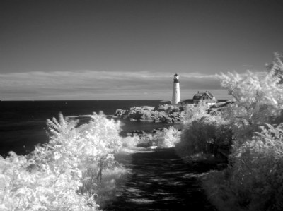 Coastal Views