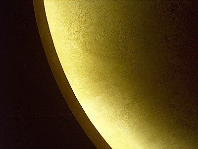 my_moon_flower