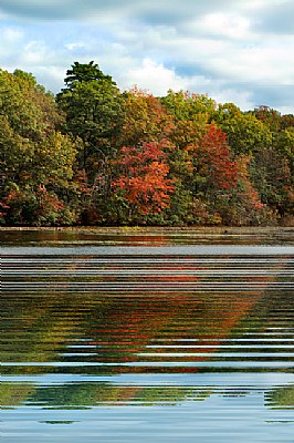 Lakeside Reflection