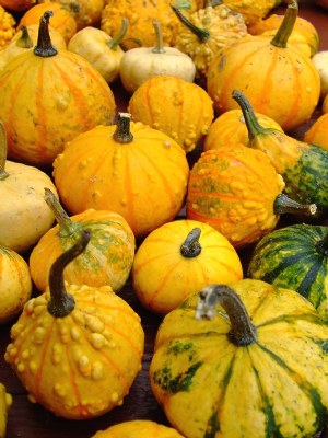 Gourds 2