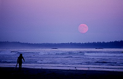 Full Moon Surfin