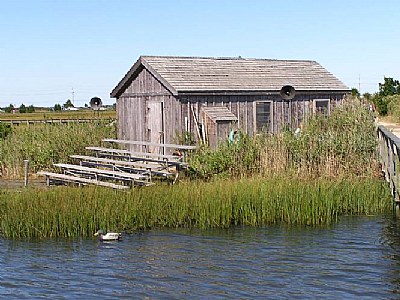 Hut