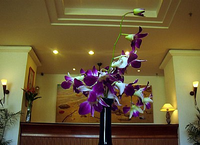 Orchid & Interior