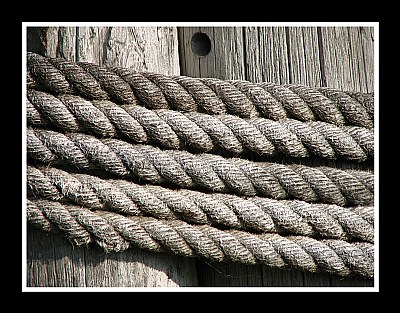Wood and Rope