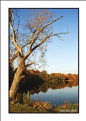 Colors At The Pond 