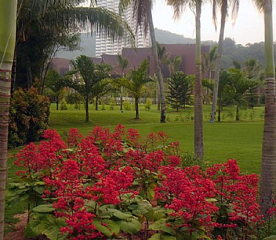 Red & Perspective