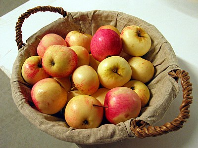 A basket of apples