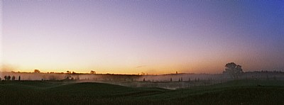 Cool Morning II