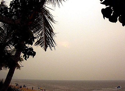 Sun, Beach & Fog
