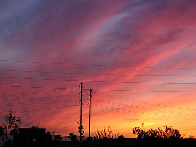 Golden Sunset