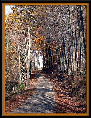 Natural Tunnel