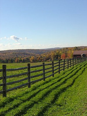 Fence line