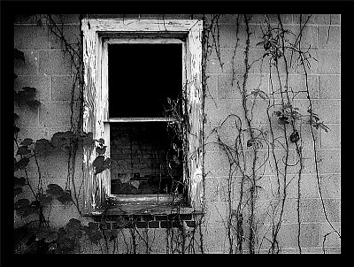 voyeur