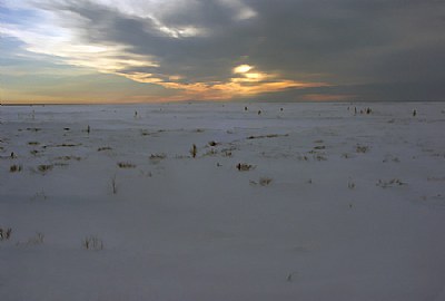 white silence