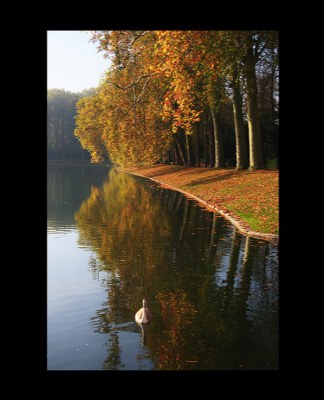 autumn at fontainebleau