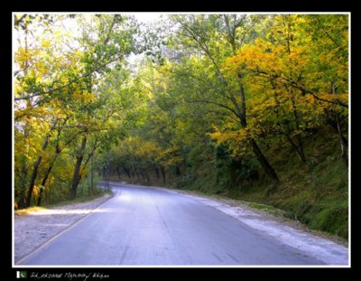 Autumn Highway