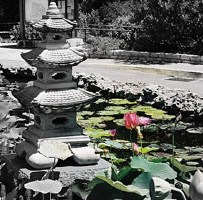 Pagoda pond