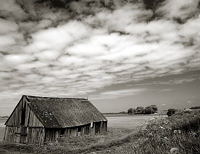 A barn