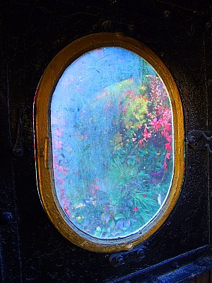 Window