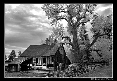 Old Barn