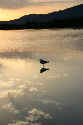 Tramonto al Giunco # 2