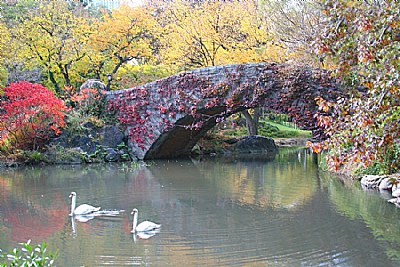 NYC Park