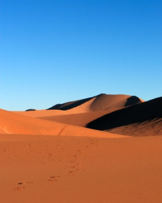 Namib Sand Dunes