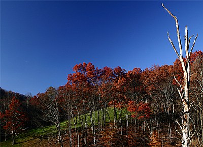 blue, brown and green