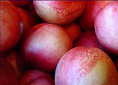 White Peaches