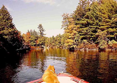 Boat Ride